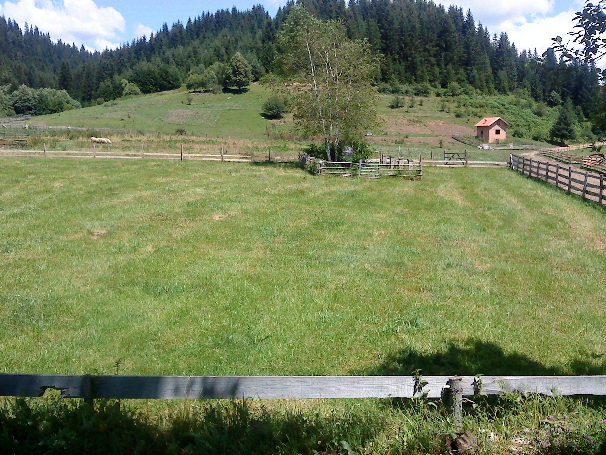 spomenik u okruglici