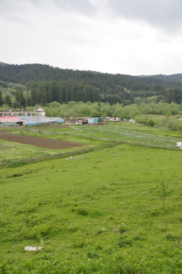 nacelnik_u_okruglici