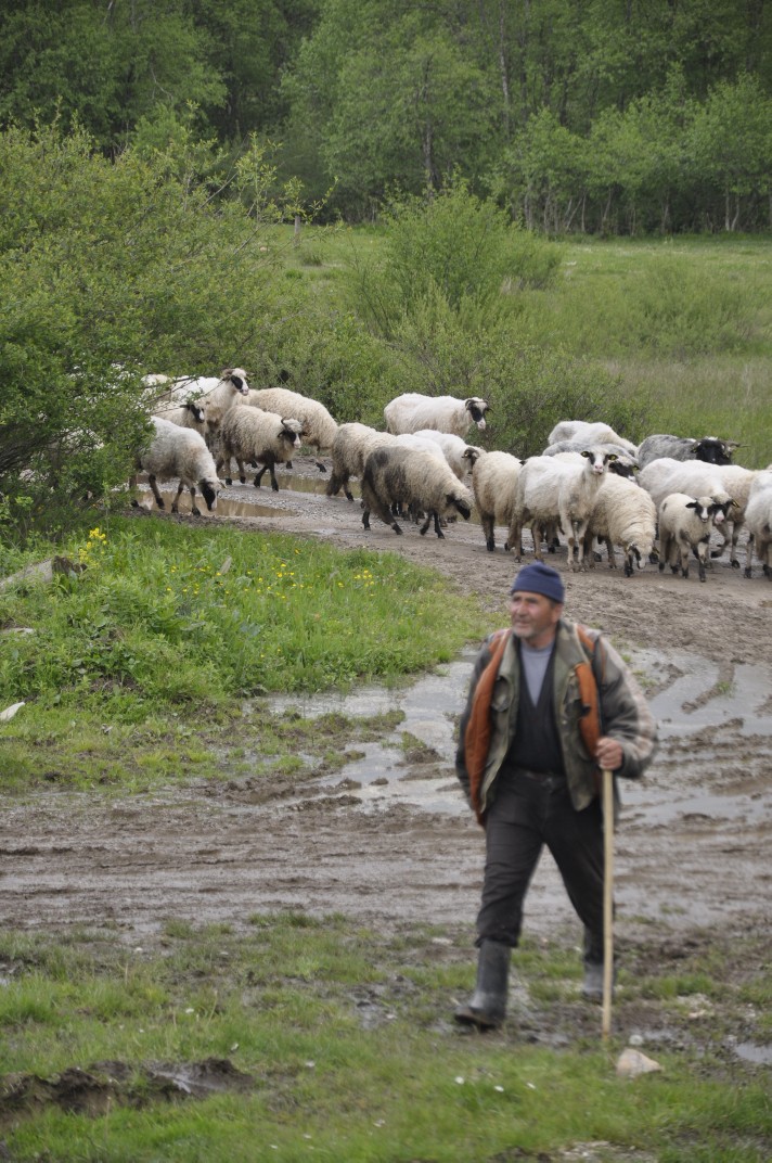 nacelnik_u_okruglici