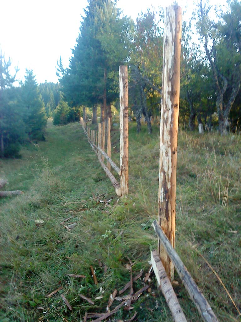 Оkruglica_Kunosici_groblje