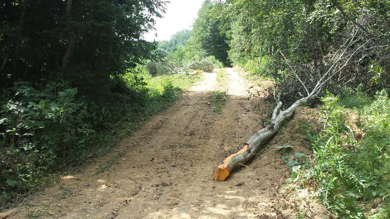 Оkruglica_Kunosici_groblje