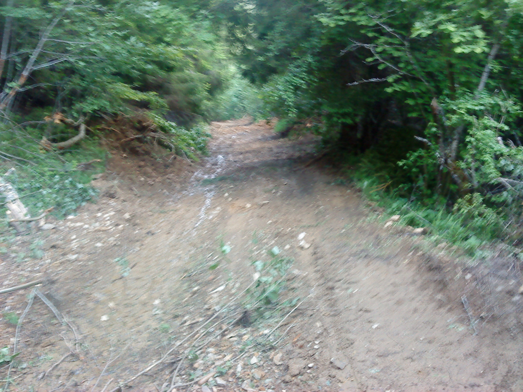 Оkruglica_Kunosici_groblje