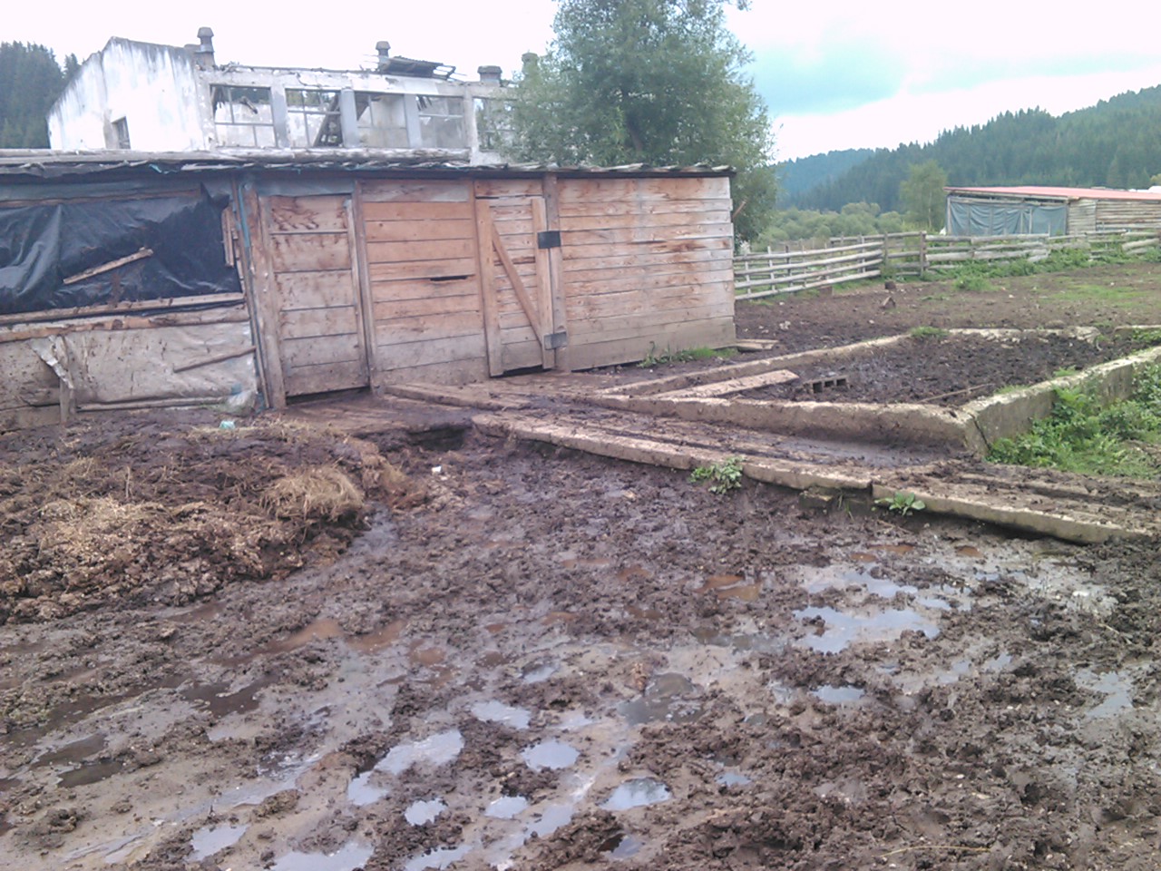 okruglica_bez_komentara