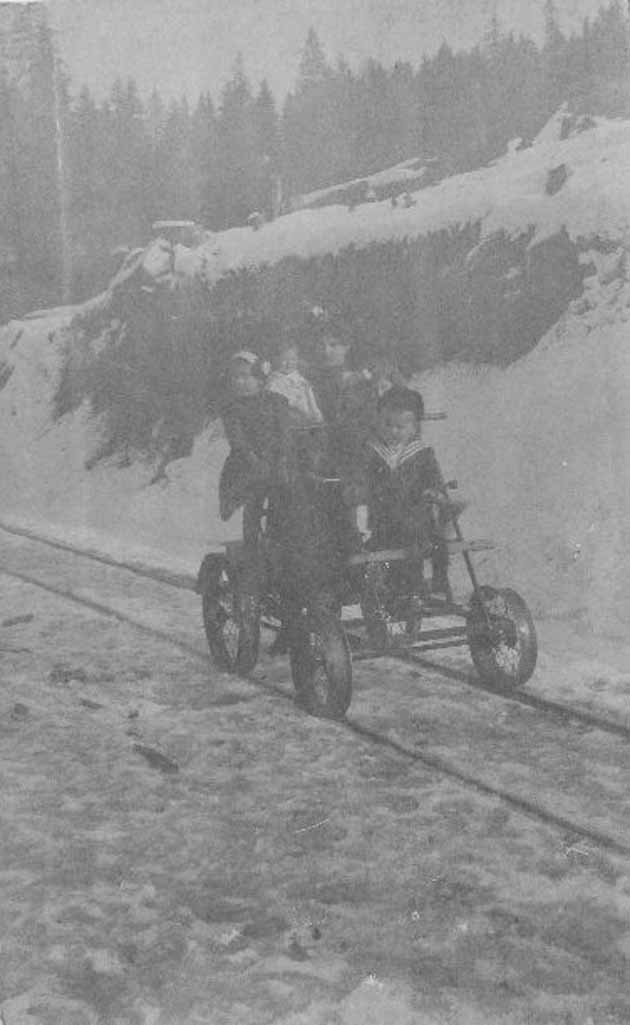 Okruglička terezina